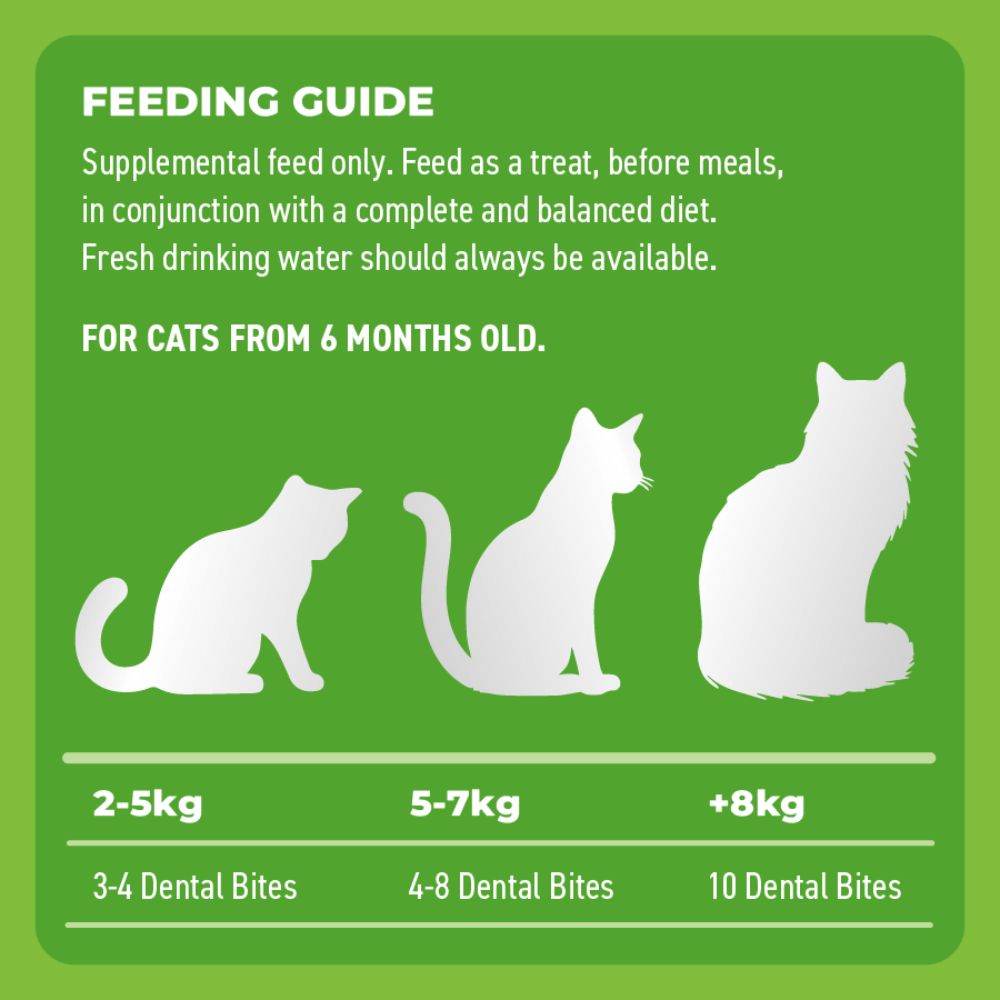 Bell and Bone Cat Dental Bite - Chicken With Blueberries