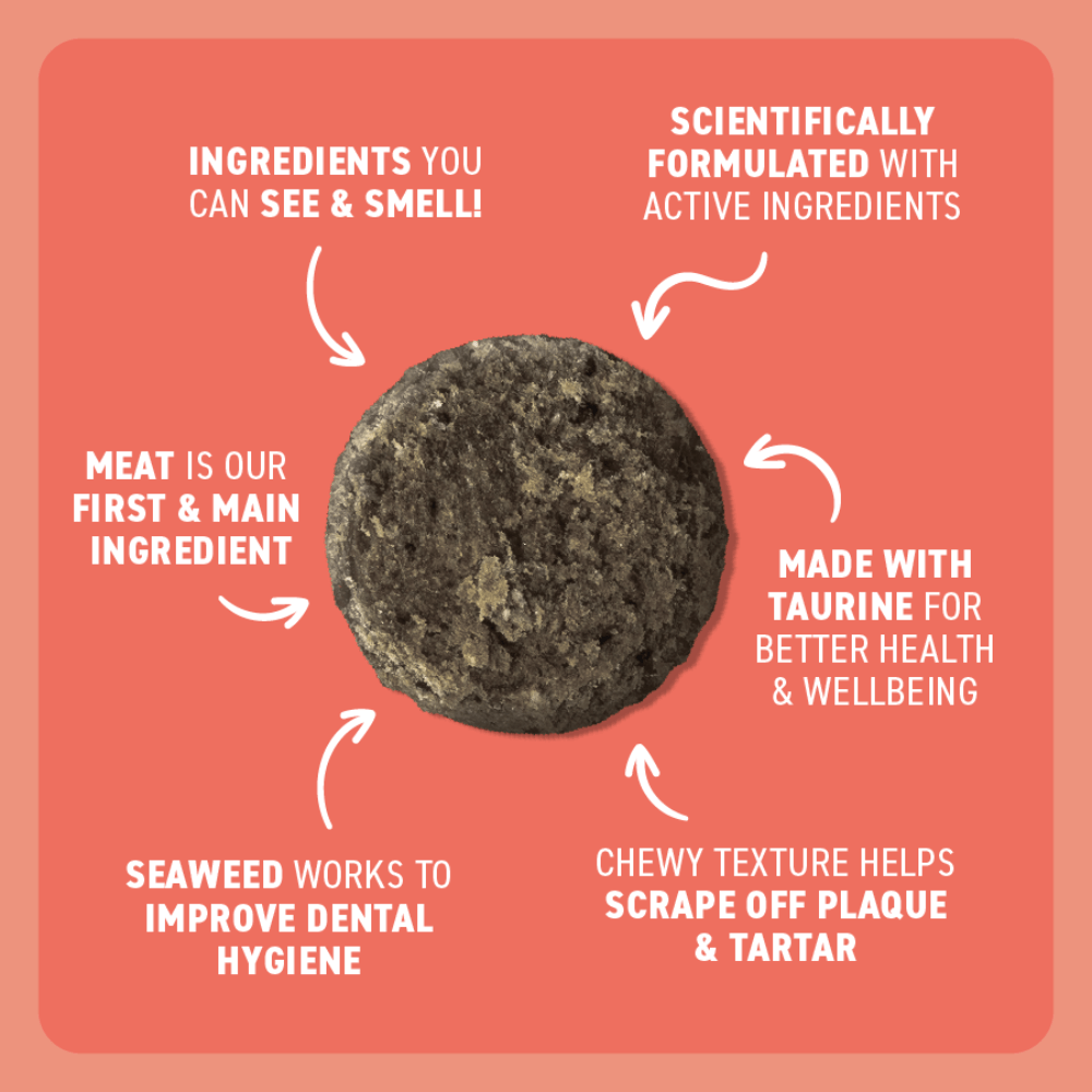 Bell and Bone Cat Dental Bite - Salmon With Charcoal