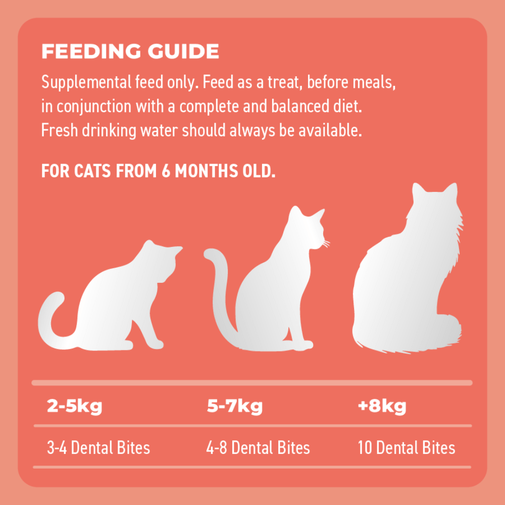 Bell and Bone Cat Dental Bite - Salmon With Charcoal