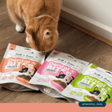 Bell and Bone Cat Dental Bite - Salmon With Charcoal