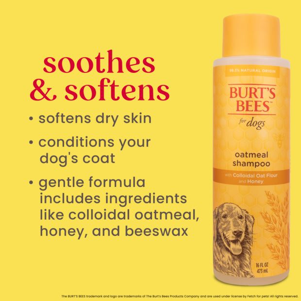 Burts Bees Oatmeal Dog Shampoo with Colloidal Oat Flour and Honey