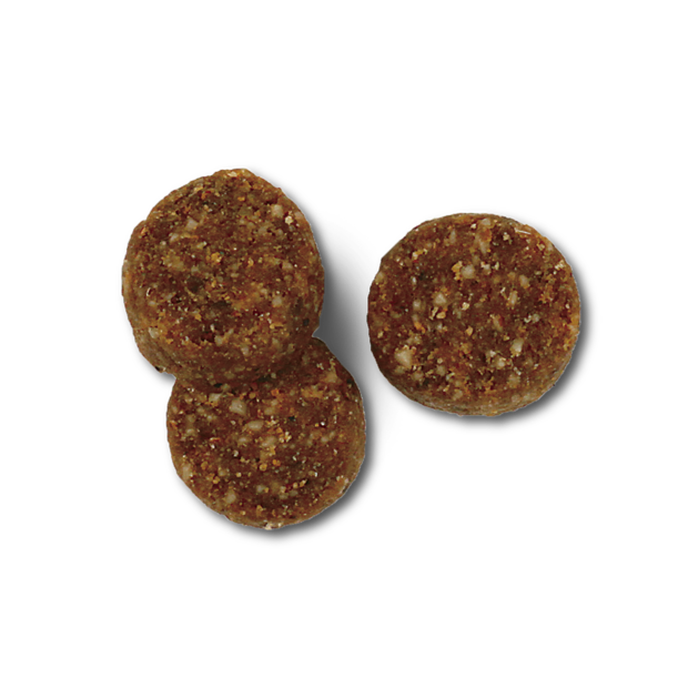 Cherish Playful Puppy Small Bites