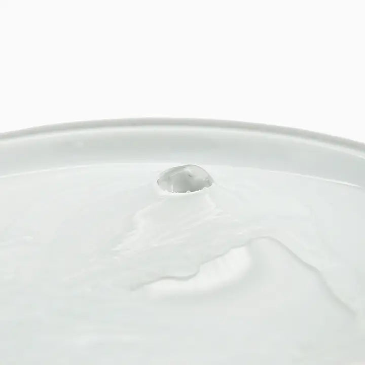 HugSmart Pet - Smart Paws Water Fountain