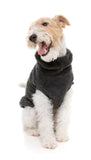 Fuzzyard - Turtle Teddy Sweater 25