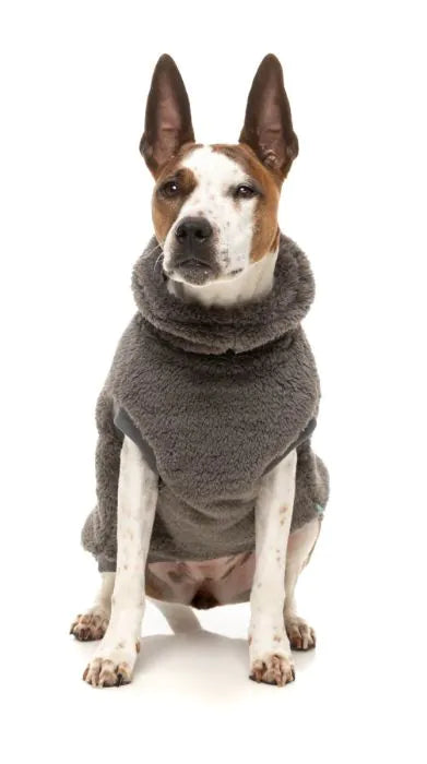 FuzzYard - Turtle Teddy Sweater 25
