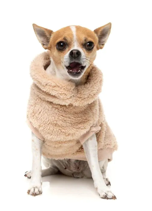 FuzzYard - Turtle Teddy Sweater 25