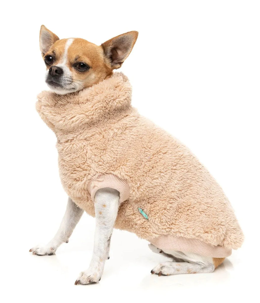 Fuzzyard - Turtle Teddy Sweater 25