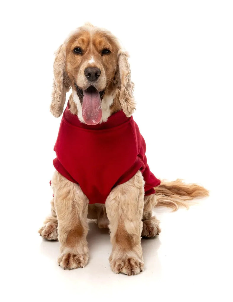 FuzzYard Allday Sweater