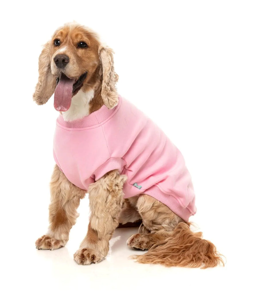 FuzzYard Allday Sweater