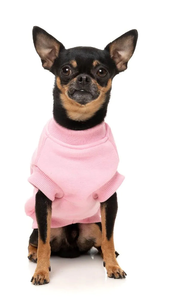FuzzYard Allday Sweater