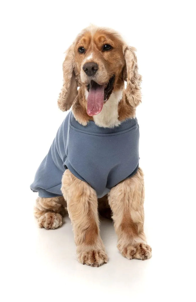 FuzzYard Allday Sweater