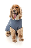 FuzzYard Allday Sweater