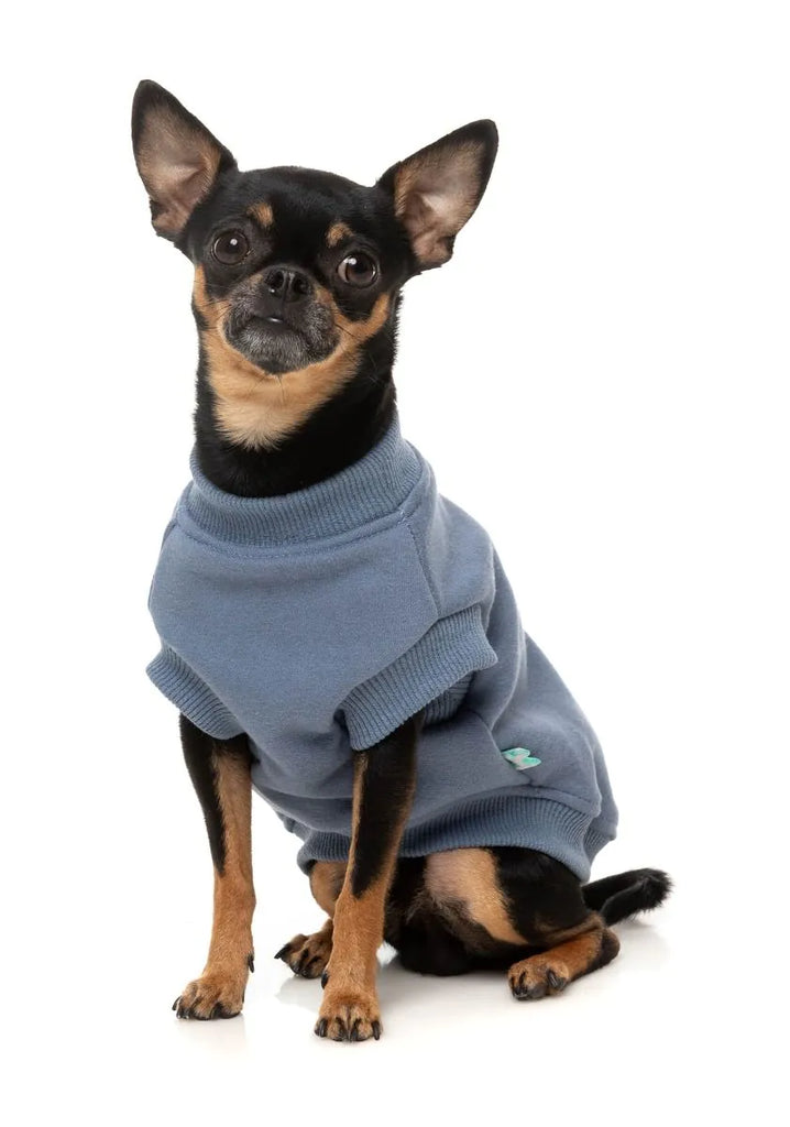 FuzzYard Allday Sweater