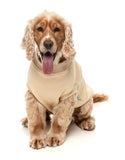 FuzzYard Allday Sweater