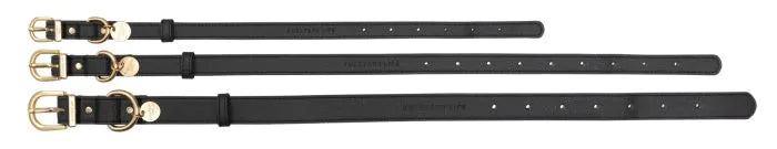 Fuzzyard Life Atelier Dog Collar