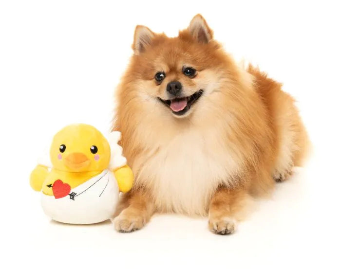 FuzzYard Cupid Duck Dog Toy