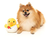 FuzzYard Cupid Duck Dog Toy