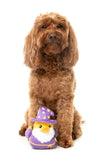 FuzzYard - Dog Toy Sirius Quack