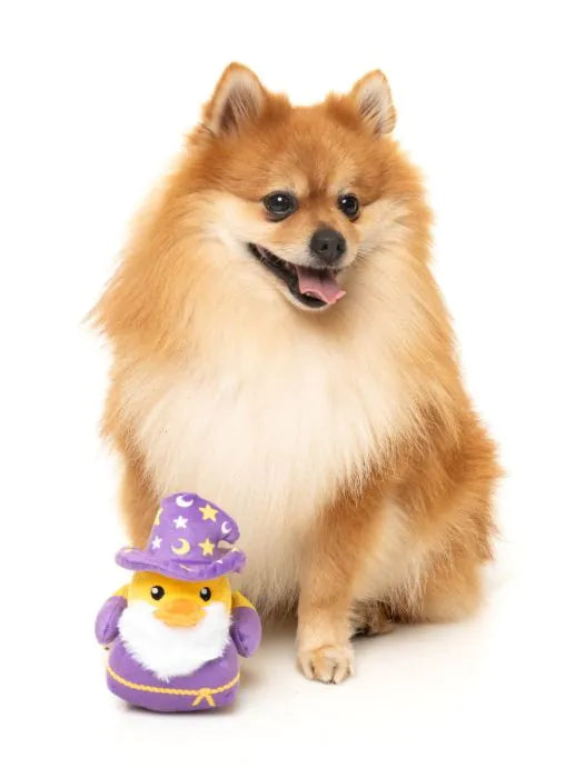 FuzzYard - Dog Toy Sirius Quack