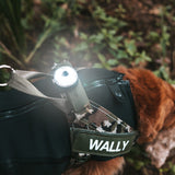 Ezydog GO2 Light Multicolour