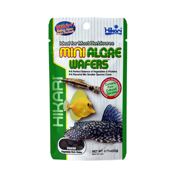 Hikari Mini Algae Wafers