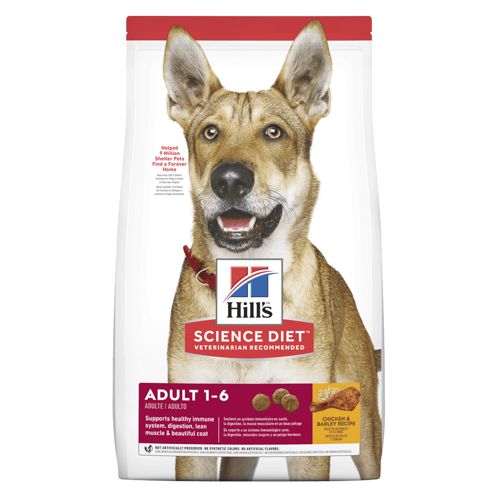 Hills Science Diet Dog Adult Dry Food