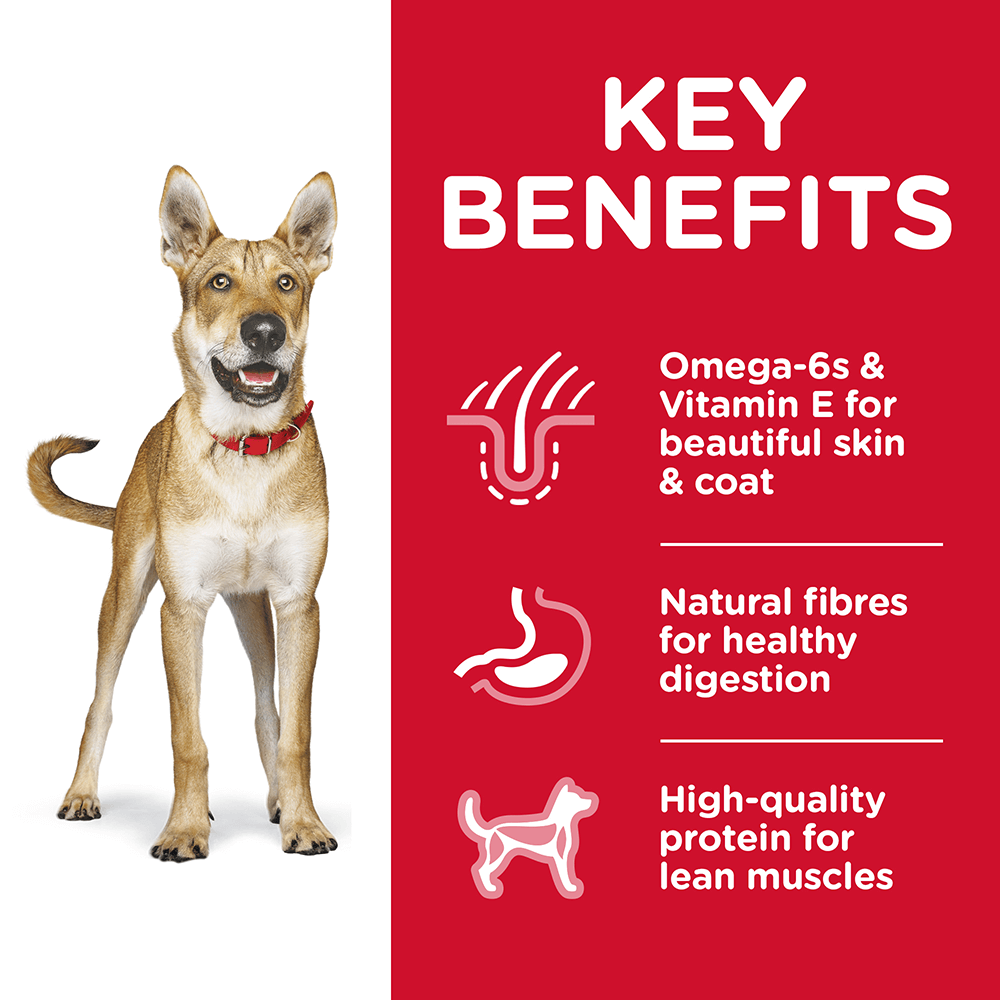 Hills Science Diet Dog Adult Dry Food