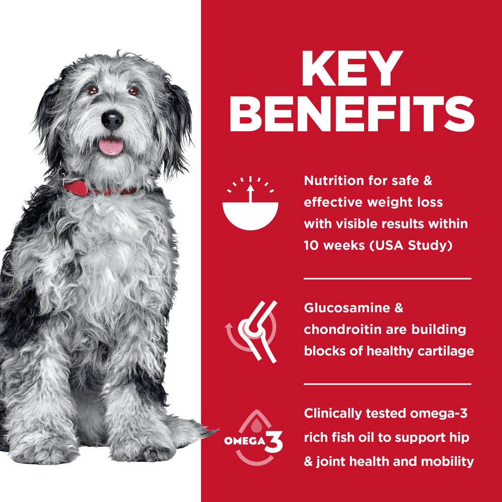 Hills Science Diet Dog Adult Perfect Weight Joint Support