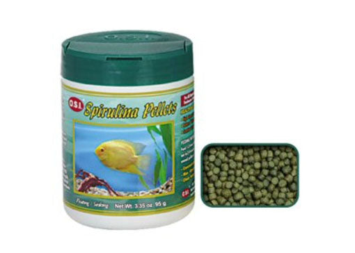 Upmarket Pets & Aquarium | OSI spirulina pellets medium | Shop aquarium fish food online