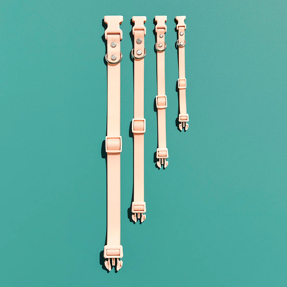 Gummi X The Commons - Collar