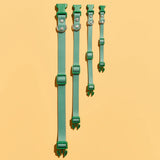 Gummi X The Commons - Collar