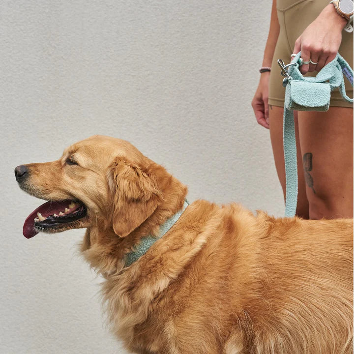 Lilly and Dash - Waste Bag Holder