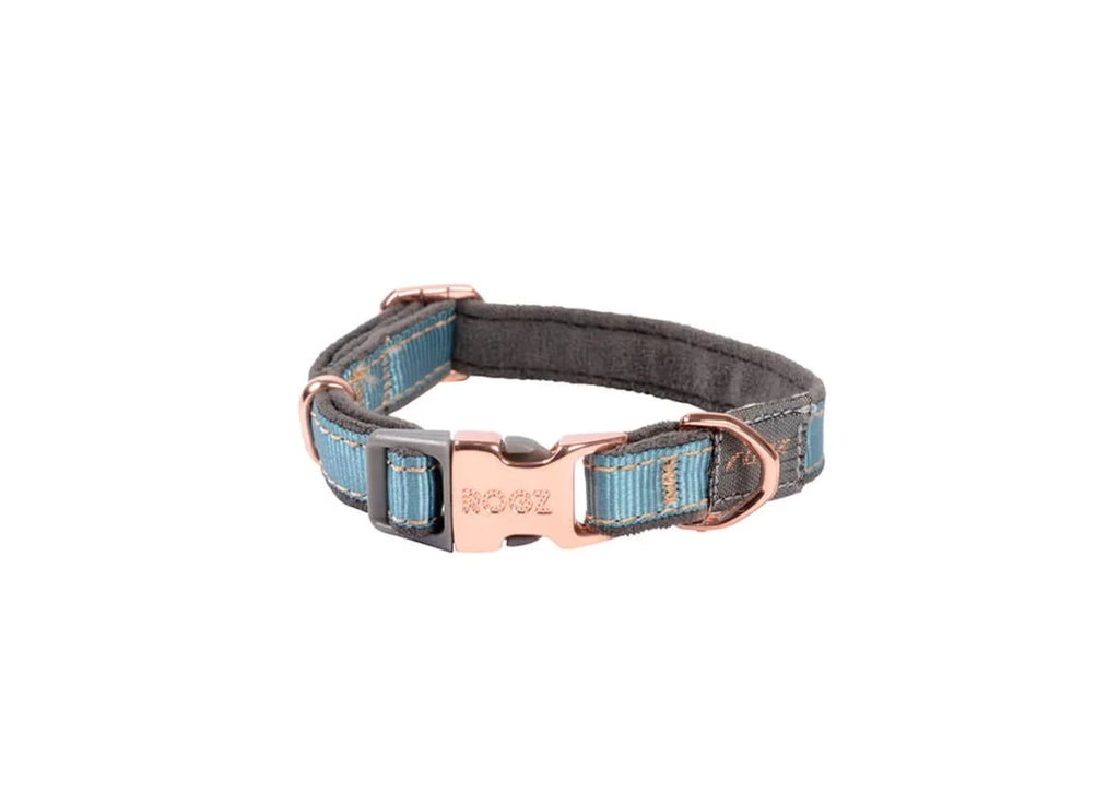 Rogz Urban Classic Collar Turquoise