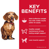 Hills Science Diet Dog Adult Perfect Weight Small & Mini Breed