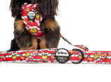 Pablo & Co Dog Leash Dr. Seuss The Grinch