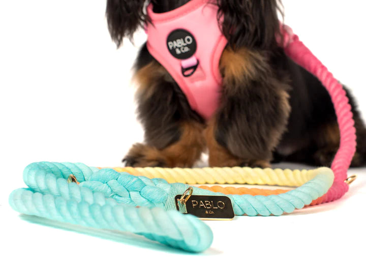 Pablo & Co Rope Leash