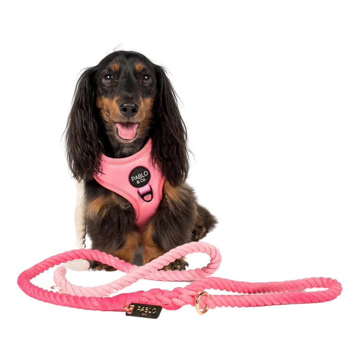 Pablo & Co Rope Leash