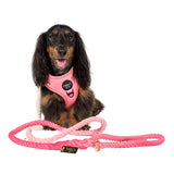Pablo & Co Rope Leash