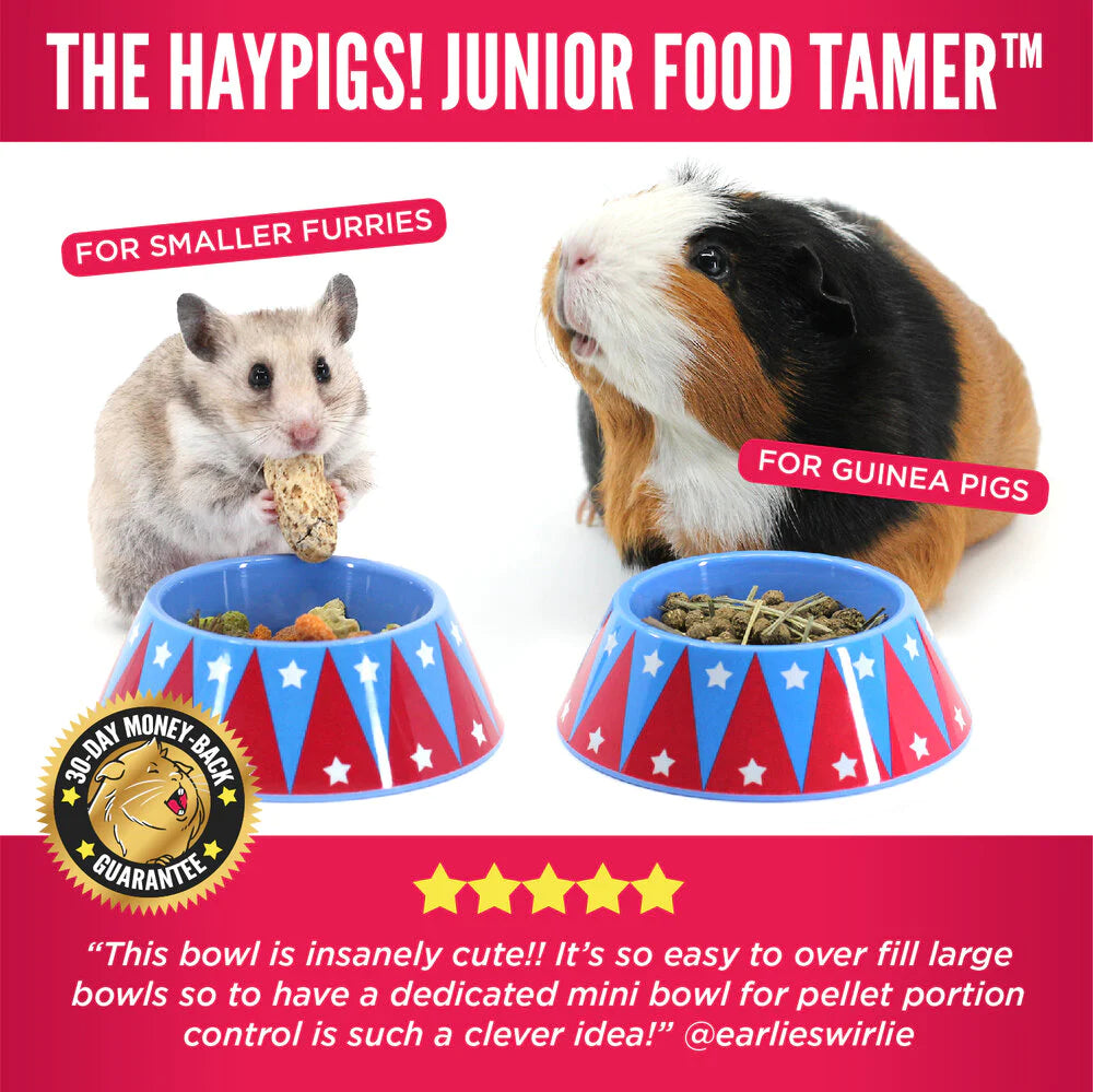Hay Pigs Junior Food Taming Bowl Upmarket Pets Melbourne