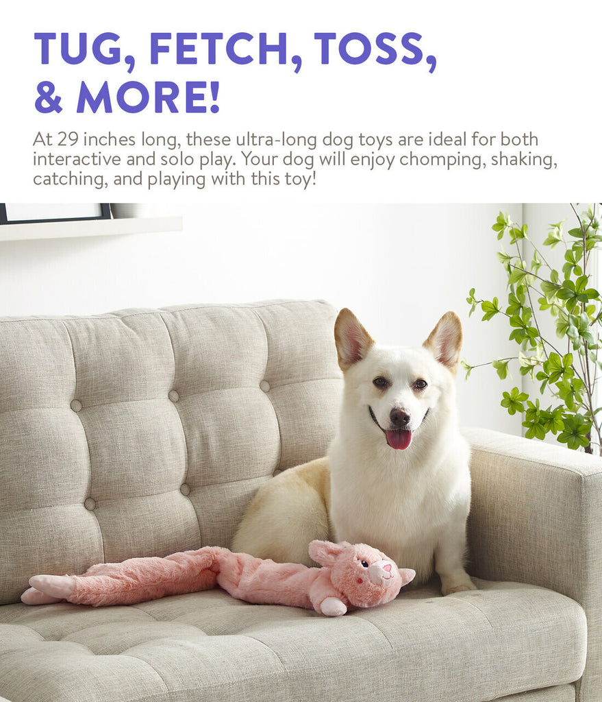 Charming Pet Longidudes Plush Squeaker Dog Toy - Rabbit