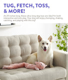 Charming Pet Longidudes Plush Squeaker Dog Toy - Rabbit