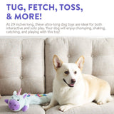 Charming Pet Longidudes Plush Squeaker Dog Toy - Unicorn