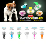 Max & Molly Matrix Ultra LED Harness/ Collar Light