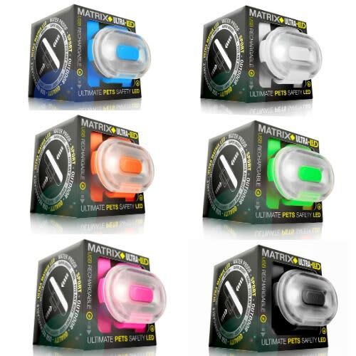 Max & Molly Matrix Ultra LED Harness/ Collar Light