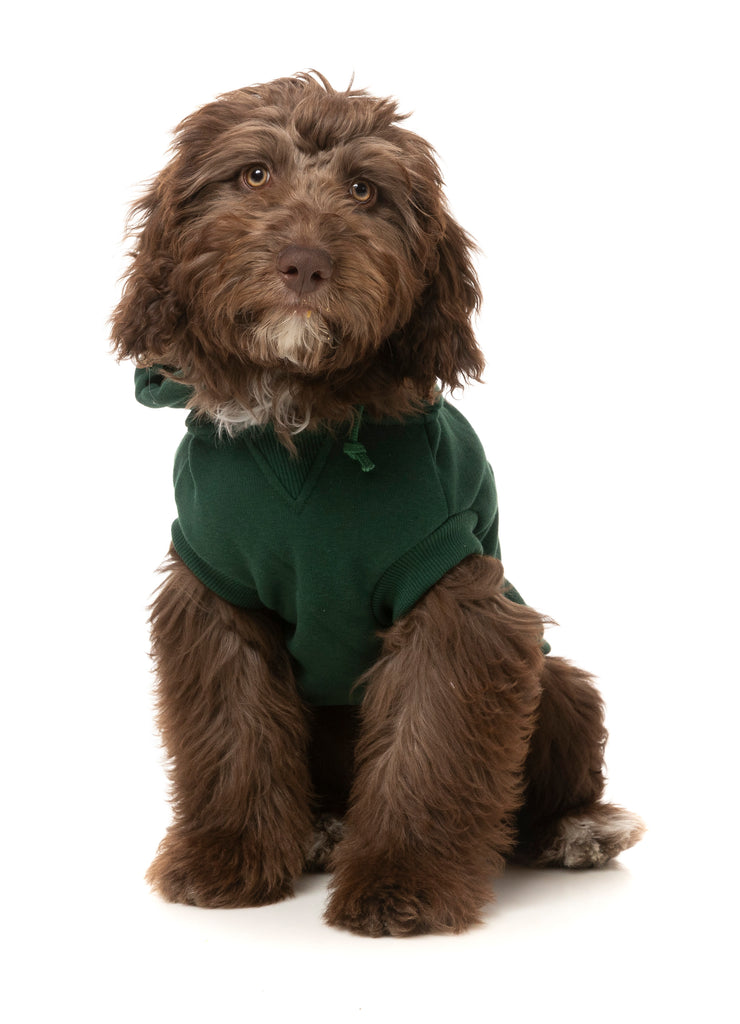 FuzzYard - Treats Hoodie