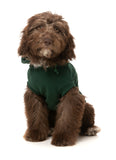 FuzzYard - Treats Hoodie