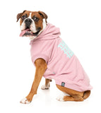 FuzzYard - Treats Hoodie