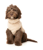 FuzzYard - Turtle Teddy Sweater