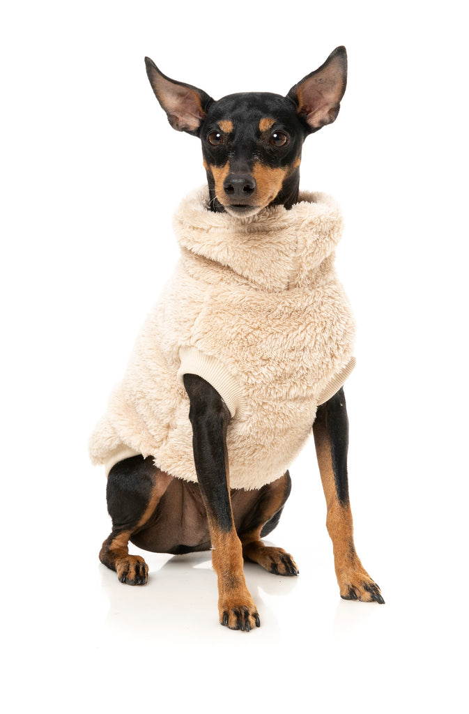 FuzzYard - Turtle Teddy Sweater