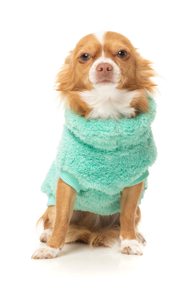 FuzzYard - Turtle Teddy Sweater